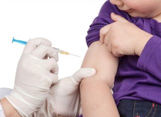 Exploring the possibility of a broadly effective dengue vaccine