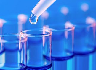 Global Biotechnology Market 2019 – Industry Survey, Market Size, Competitive Trends, Outlook and Forecasts To 2025 – Big Times News