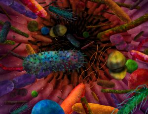 Microbiome Transfer Sufficient to Induce Autism Phenotypes in Mice