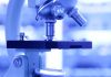 New research uncovers how superbug evades the immune system to cause infection