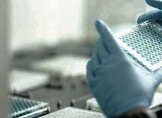 White Biotechnology Market 2019-2025 Rise In Demands Of Green Chemicals Boon The Industry With Cargill Inc., Archer Daniels Midland Company, DuPont – Healthcare News