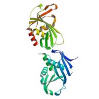 Biotechnology construction kit for custom-designed products – Nanowerk