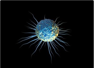 Blink and you miss it: Imaging single cells travelling at the speed of Usain Bolt