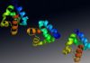 CRISPR-Cas9 Gene Editing Used to Engineer Primate Model of Autism