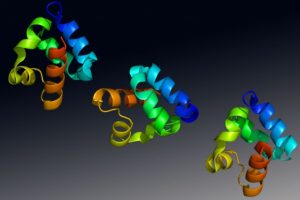 CRISPR-Cas9 Gene Editing Used to Engineer Primate Model of Autism