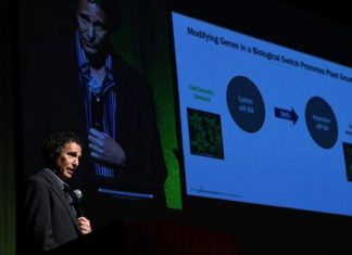 Crop Biotechnology: A Conversation With Dr. Jerry Feitelson – Forbes