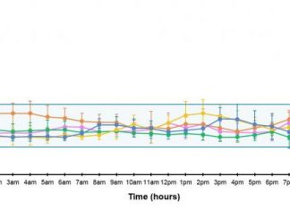 Long-term islet transplant recipients show near-normal glucose control