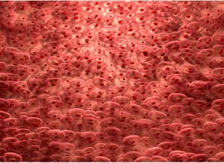 Scientists successfully carry out gene editing in vivo