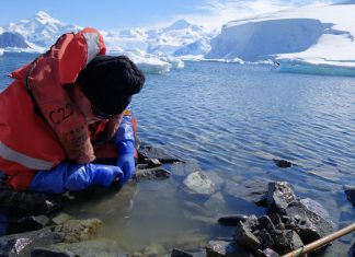 The complex fate of Antarctic species in the face of a changing climate