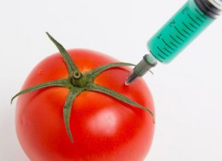 The Foods Of Tomorrow: How Biotechnology Is Changing What We Eat – Forbes