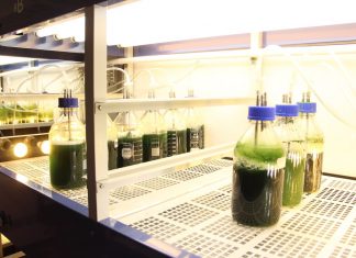 Three incubator centers for biotechnology to be established – Tehran Times
