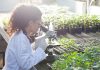 USDA proposes new biotechnology regulations to promote ag – AGDAILY