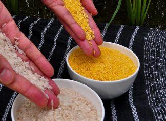 World is missing out on biotechnology’s lifesaving benefits, plant scientists warn – Alliance for Science – Alliance for Science