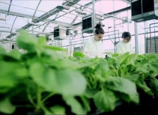 Agriculture Biotechnology Market Insights with Statistics and Growth Prediction in Agriculture sector 2019 to 2025 | CAGR of 9.50% – Financial Planning