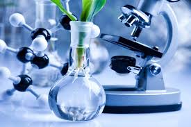 Biotechnology Market In-deep Analysis, Research and Experts Review Report 2019-2025 – Market Research Journalist