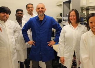Discovering how diabetes leads to vascular disease