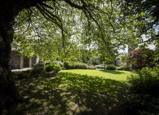Seeing greenery linked to less intense and frequent cravings