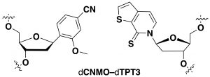 Semi-Synthetic Organism Is Put Through Its Protein-Production Paces