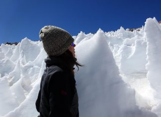 Snow algae thrive in high-elevation ice spires, an unlikely oasis for life