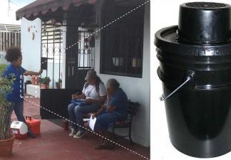 Trapping female mosquitoes helps curb chikungunya virus