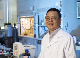 UTSA chemist becomes a Foreign Fellow of the European Academy of Sciences