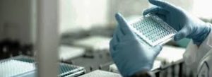 White Biotechnology Market Future Prospects 2023: (BioAmber Inc. ,Novozymes A/S ,Cargill, Incorporated ,BASF SE) – Market News Reports