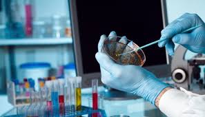 Global Biotechnology Reagents Market 2019 Strategic Diagnostics Inc. (Sdix), Takara Bio Inc., Roche Diagnostics Limited – Industry News Feed