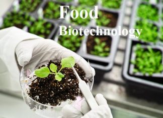 Global Food Biotechnology Market will explore robust size & growth during, 2019–2025 – The News Network