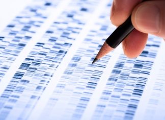 Living Cells Can Record and Track Genomic Events with New “Designer Cell” Computer Technology
