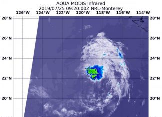 NASA finds one burst of energy in weakening Depression Dalila