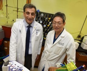 Whole Body Vibration Shakes Up Microbiome and Reduces Inflammation in Diabetes