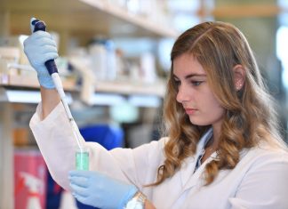 WSU expands Protein Biotechnology Program through new $2.3 million NIH grant – WSU News