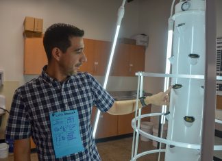 Agriscience program teaches urban farming, plant biotechnology to high schoolers – Salem Reporter