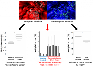 Cancer Biomarker Recognized in Methylated MicroRNA