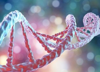 Cutting-edge imaging and biopatterning techniques announced for Polish researchers