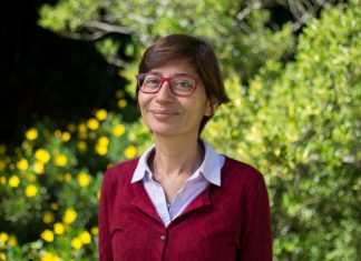 Interview with Dr. Sofia Valenzuela: Global potential of forest biotechnology – Alliance for Science – Alliance for Science
