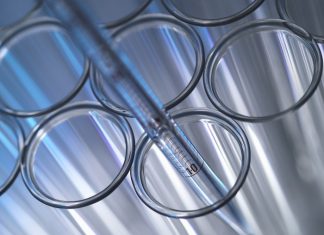 Is iShares Nasdaq Biotechnology Index Fund a Buy? – The Motley Fool