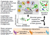 Microbiome Hungry for the Right Fiber
