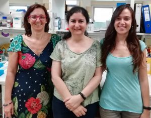 Molecule Expressed from Noncoding Genome Region Linked to Tumor Proliferation