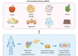 Using everyday materials as tissue scaffolds