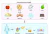Using unconventional materials, like ice and eggshells, as scaffolds to grow tissues
