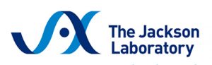 Better Research Begins with an Experienced Solution Provider
