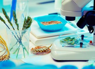 Biotechnology: Europe’s next ‘hot potato’ – EURACTIV