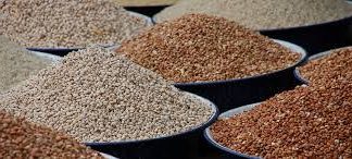 Global Commercial Seeds (Conventional, Biotechnology) Market Study 2016-2026 with Major Vendor Landscape and Their Strategies – Space Market Research