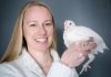 Human medicines affect fish behavior