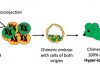 Hyper-Long Telomeres Give Non-Genetically Modified Mice Longer, Healthier Lives