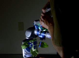 Machine learning helps plant science turn over a new leaf
