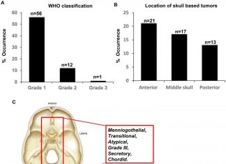 New insights into the genomic landscape of meningiomas identified FGFR3 in a subset of patients with favorable prognoses