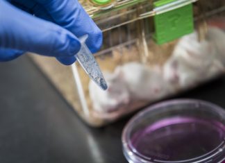 Pioneering red light-activated anti-tumor prodrug reduces side effects