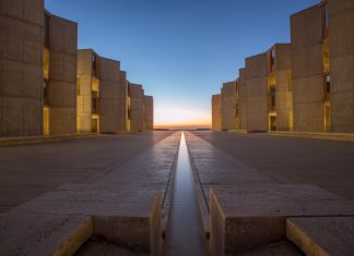 Salk scientists awarded $14.3 million to map circuitry for movement
